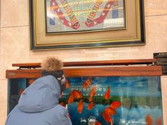 -内蒙古驻京办餐厅