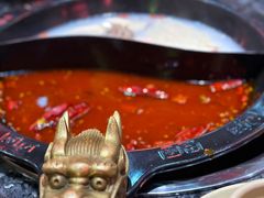 -蜀大侠火锅(森兰花园城店)