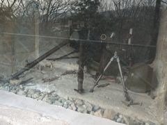 -青岛德国总督楼旧址博物馆