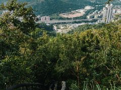 -梧桐山风景名胜区