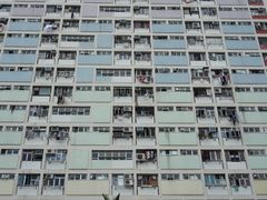 -彩虹村