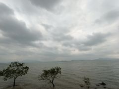 -深圳湾公园(南山区)