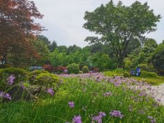 -铁山坪森林公园