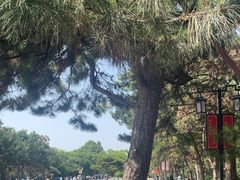 -北陵公园