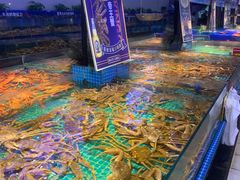 -驻海渔市(置信店)