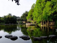 -四海公园(南山区)