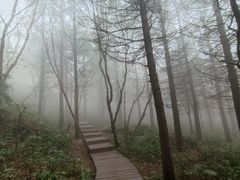 -白草畔自然风景区