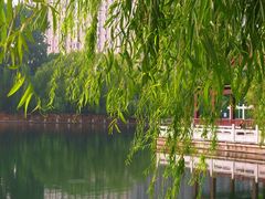 -北陵公园