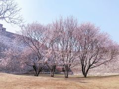 -北京明城墙遗址公园