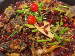 -老板恋上鱼(恒隆广场店)