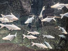 -哈尔滨波塞冬海底世界