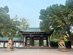 -桂湖森林公园