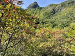 -云岫谷游猎自然风景区