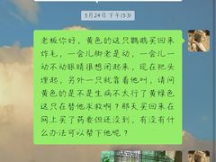 -青石桥花鸟鱼虫市场(叠翠城店)