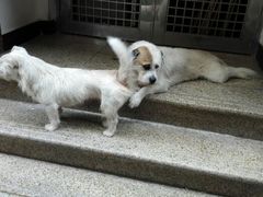 android_upload_pic-乐屿乐趣