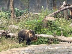-武汉动物园