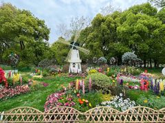 -上海共青森林公园