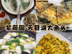 -紫藤园·天目湖大鱼头(南山竹海店)