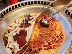 -辣伍鲜毛肚老火锅(元一店)