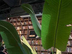 -猩世界 | COFFEE BAR(苏宁广场店)