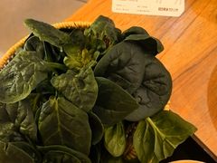 -巴奴毛肚火锅(龙湖锦艺城店)