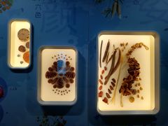 -浙江自然博物院(杭州馆)