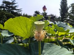 -国家植物园南园