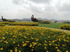 -光明小镇欢乐田园