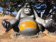 -大连森林动物园