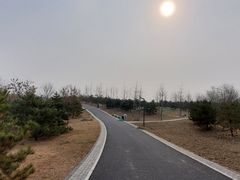 -东郊湿地公园
