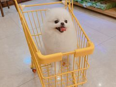 -e嘉宠物店(北大街店)