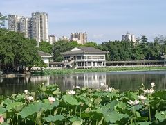 -荔湾湖公园