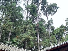 -寂照庵