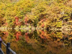 -关门山森林公园