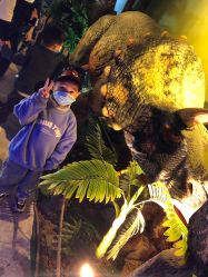 -恐龙探索乐园(磁器口店)