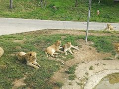 -西安秦岭野生动物园