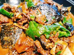 私房土甲鱼-茶叁酒肆·楚味江湖(菱角湖店)