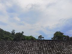 -杨家堂村