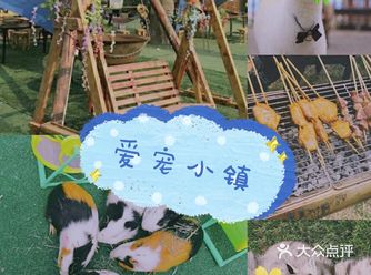 和萌萌哒宠物一起happy吧！