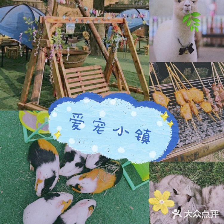 和萌萌哒宠物一起happy吧！