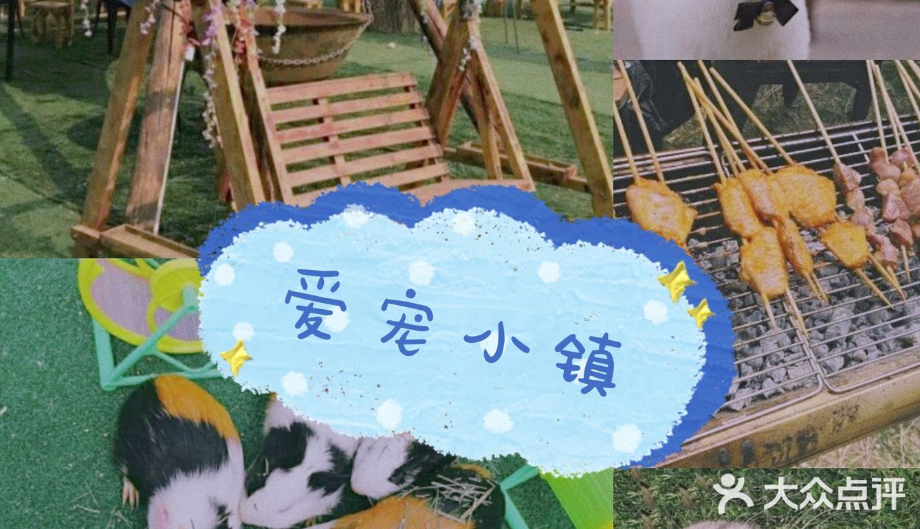 和萌萌哒宠物一起happy吧！