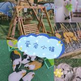和萌萌哒宠物一起happy吧！