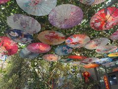 -海韵人家.海景花园经典云南菜(双廊店)