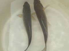 -环城公园-琥珀潭