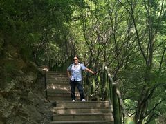 -少华山国家森林公园