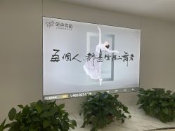 -单色舞蹈