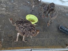 -长春农业博览园