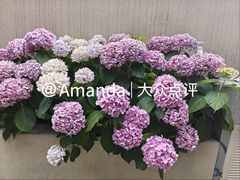 -十九峰景区