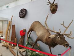 -北京中医药大学-中医药博物馆