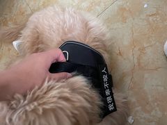 -萌兽医馆·宠物医院·猫骨科(创景店)